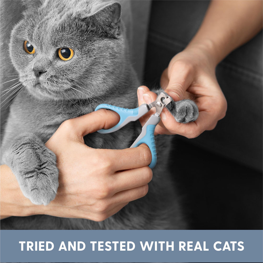 The Cat Ladies tool set shown for delicate undercoat care.