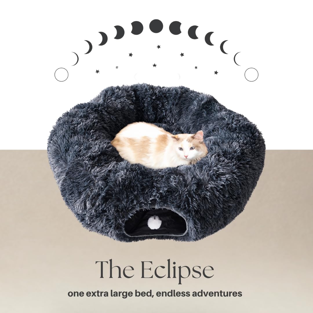 The Cat Park plush toy inside the tunnel invites interactive play sessions.