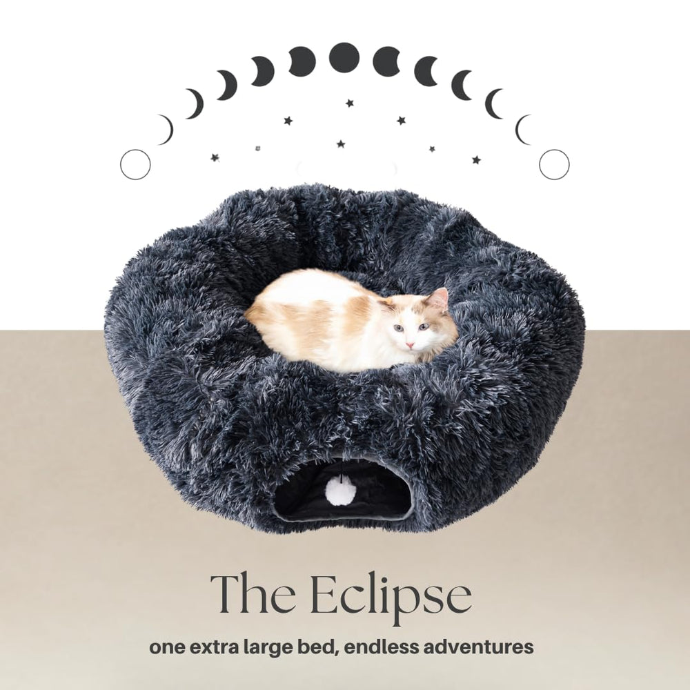 The Cat Park plush toy inside the tunnel invites interactive play sessions.