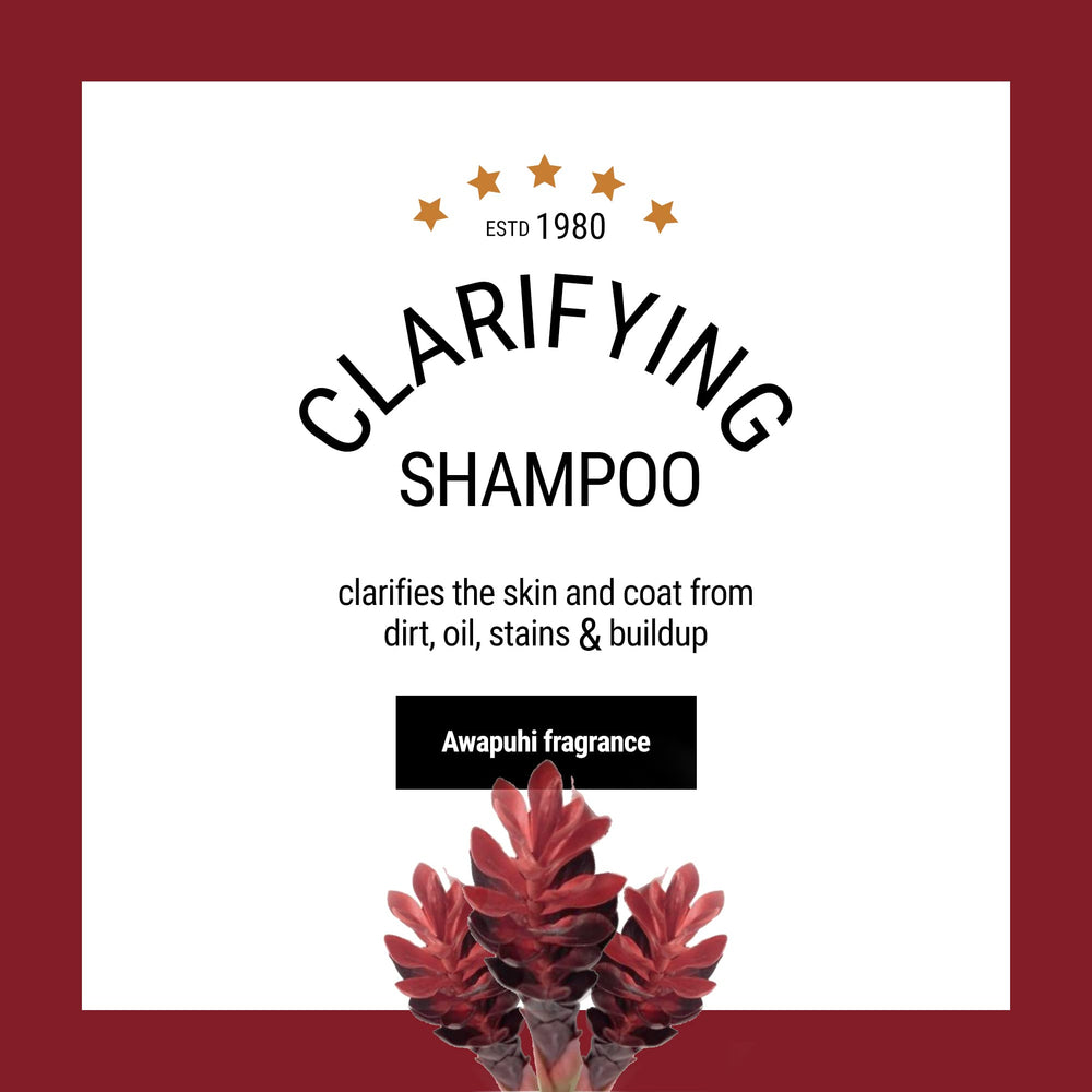 The Coat Handler clarifying dog shampoo soap dispense shows concentrated formula ideal for boutique grooming