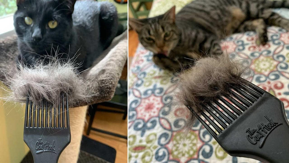 The CoatHook USA-made grooming tool on display showcases quality materials.