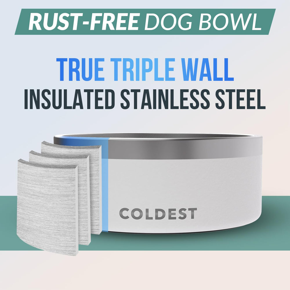 The Coldest Water dog bowl with anti-slip base prevents spills during meals.