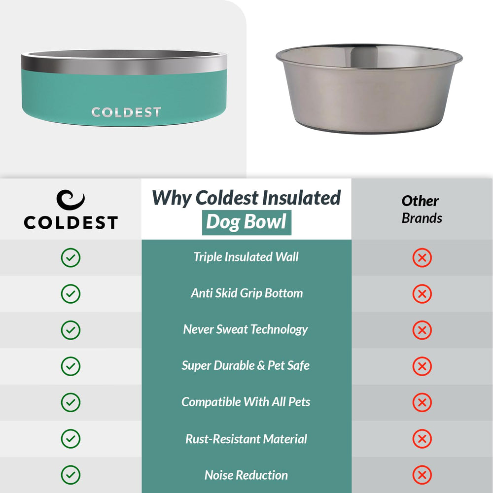The Coldest Water dog bowl in Terraform Green complements homes and pets.