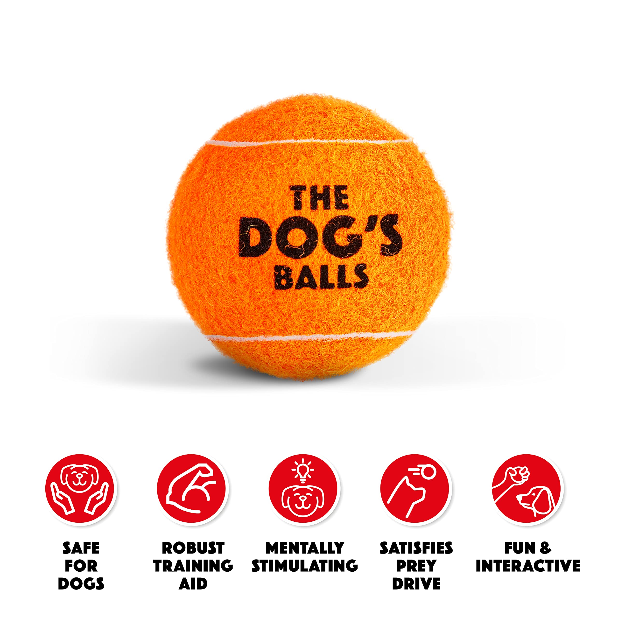 The Dog's Balls orange ball in action supports safe fetch training outdoors.