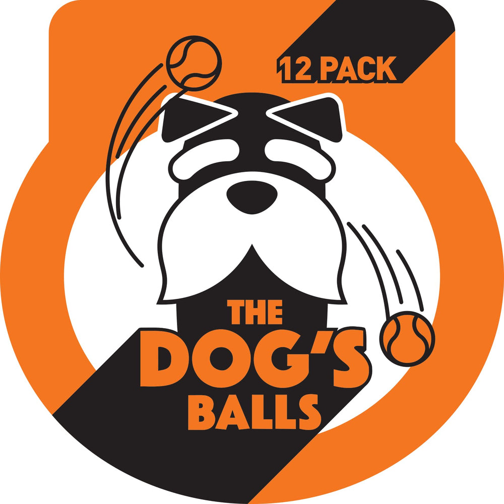 The Dog's Balls orange ball is easy to clean after outdoor sessions.