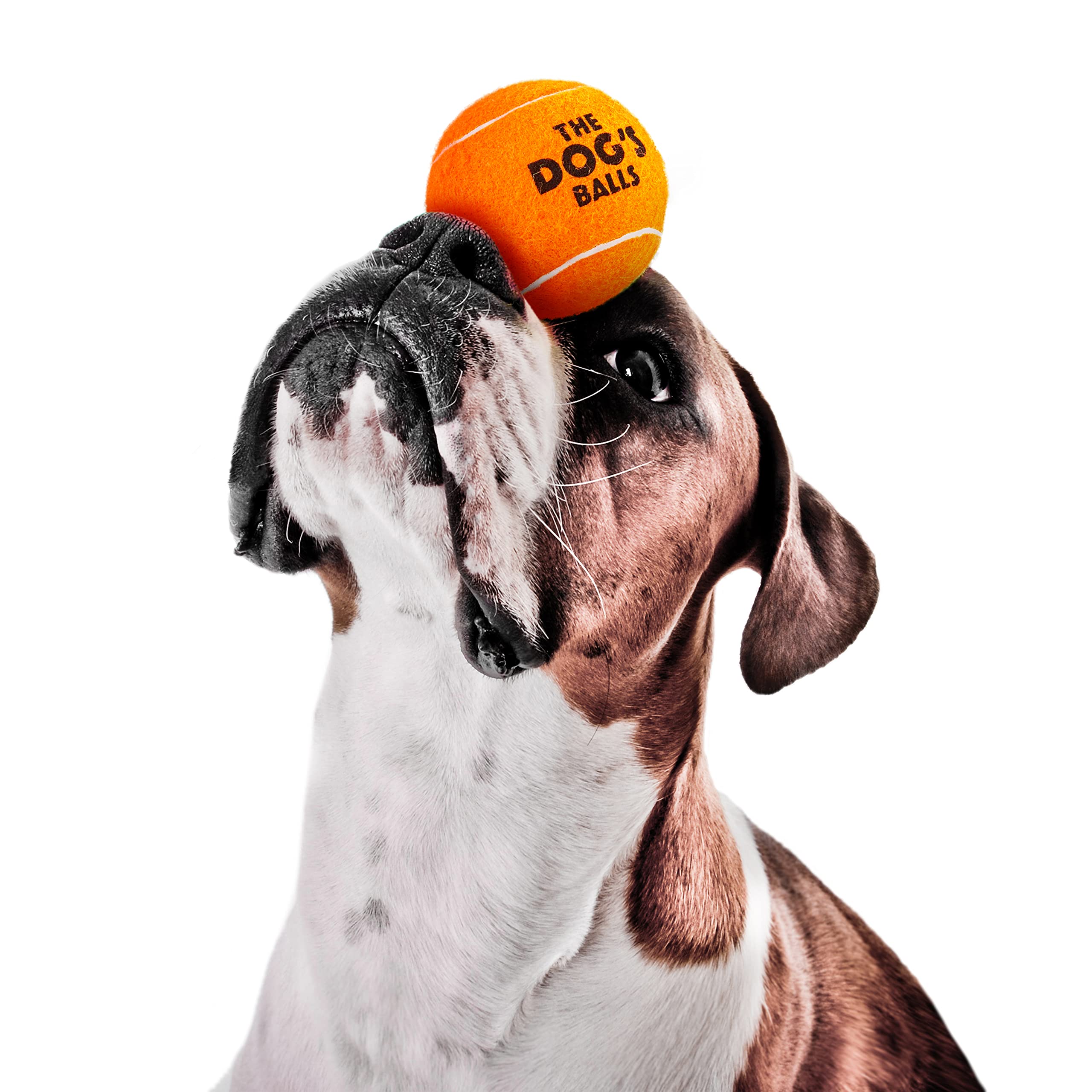 The Dog's Balls orange ball's non-abrasive felt protects teeth during games.