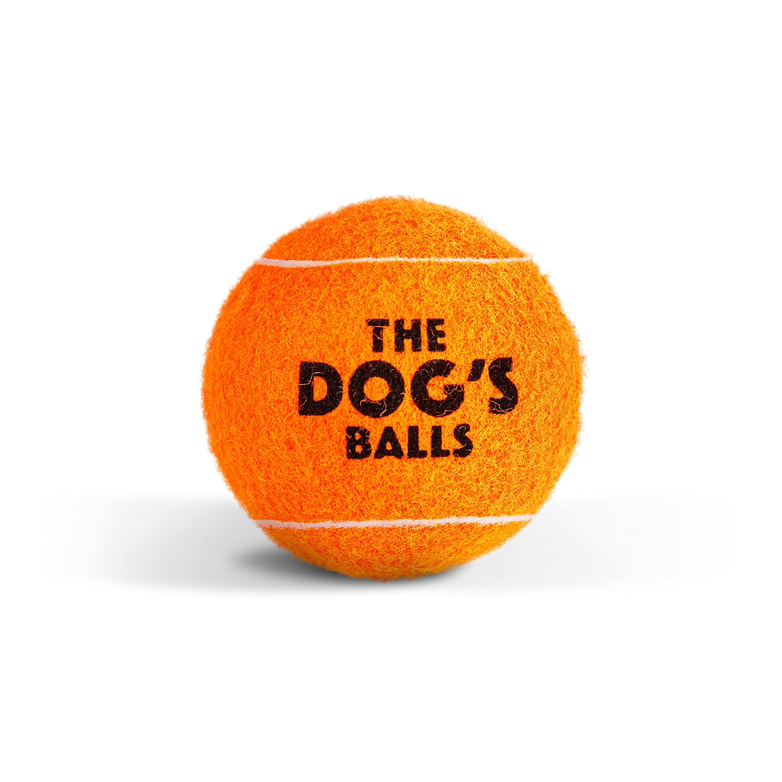 The Dog's Balls orange ball supports agility drills and exercise routines.
