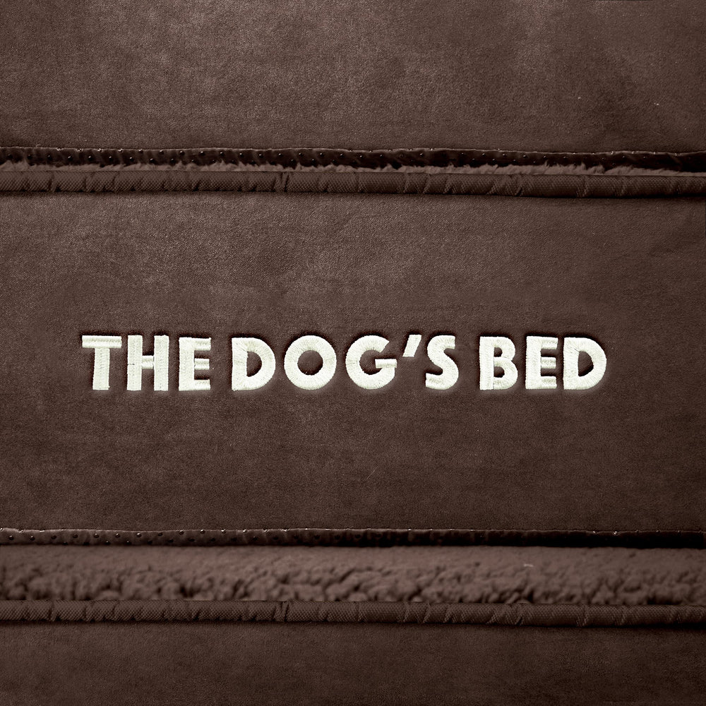 The Dog's Bed orthopedic bed placed in a living room complements home decor.
