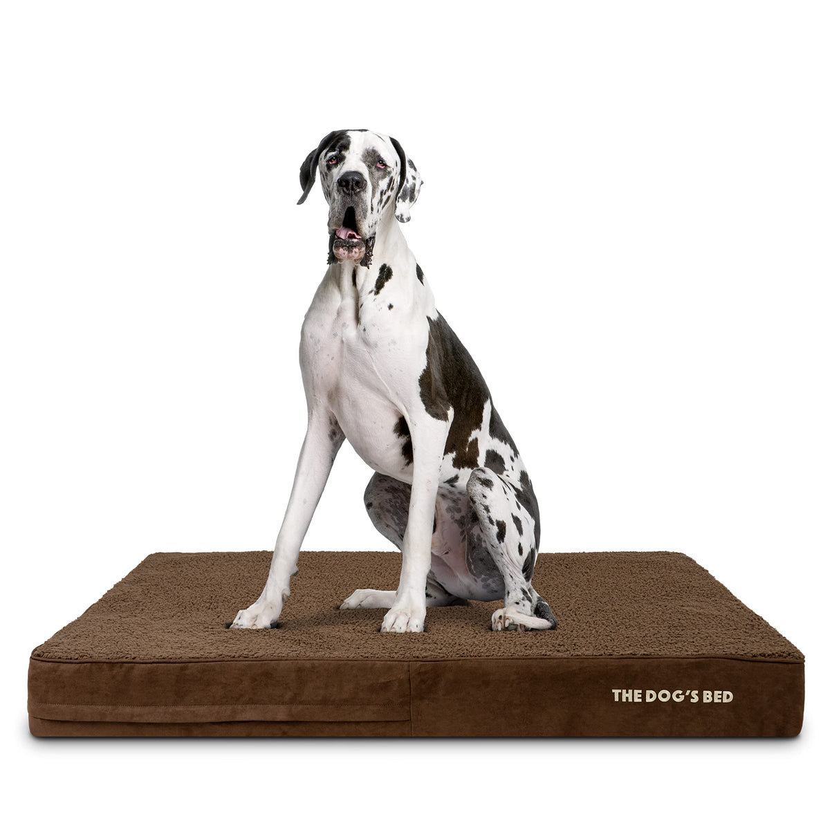 The Dog's Bed Orthopedic XXL brown plush shows cozy, joint-supporting surface.