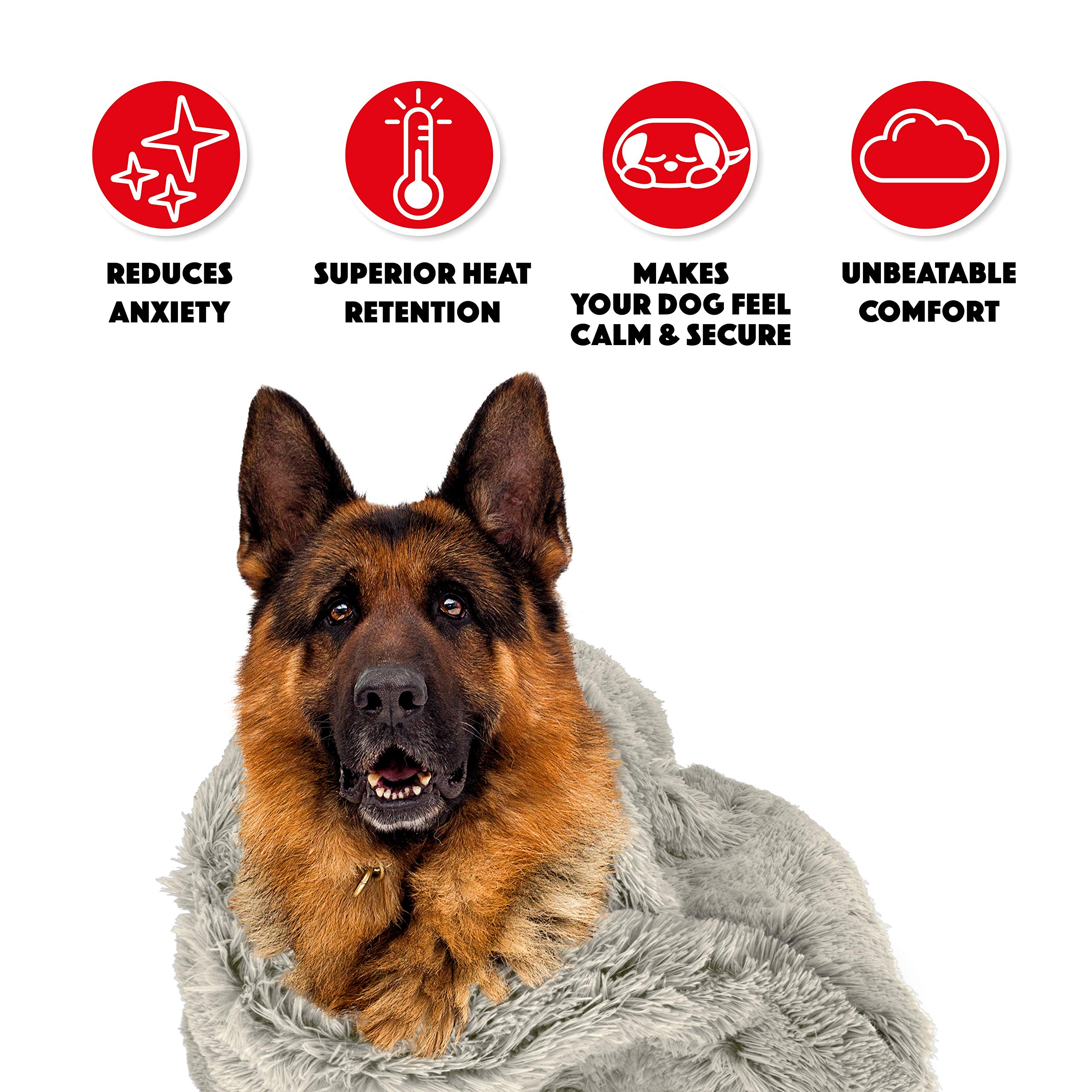 The Dog's Blanket ultra-soft microplush fabric delivers velvet-like comfort.