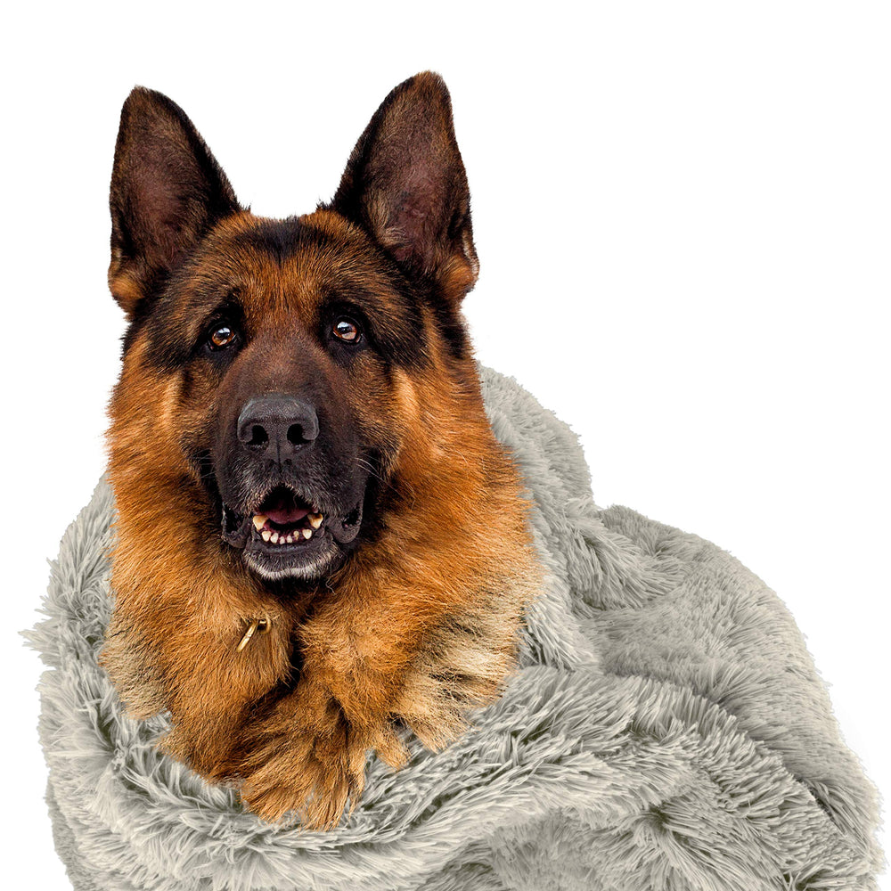 The Dog's Blanket supports calmer vet visits with familiar scent and home-like comfort.