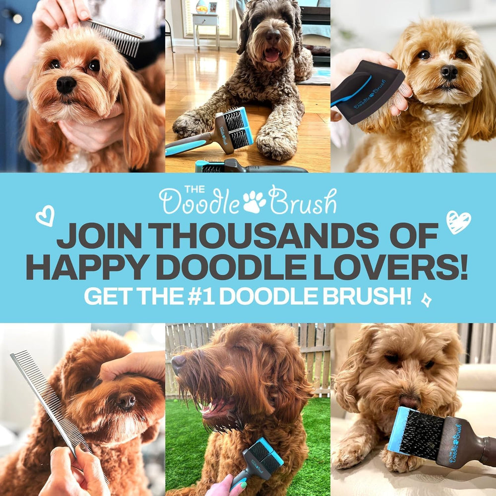 The Doodle Brush is ideal for Labradoodles during regular brushing sessions