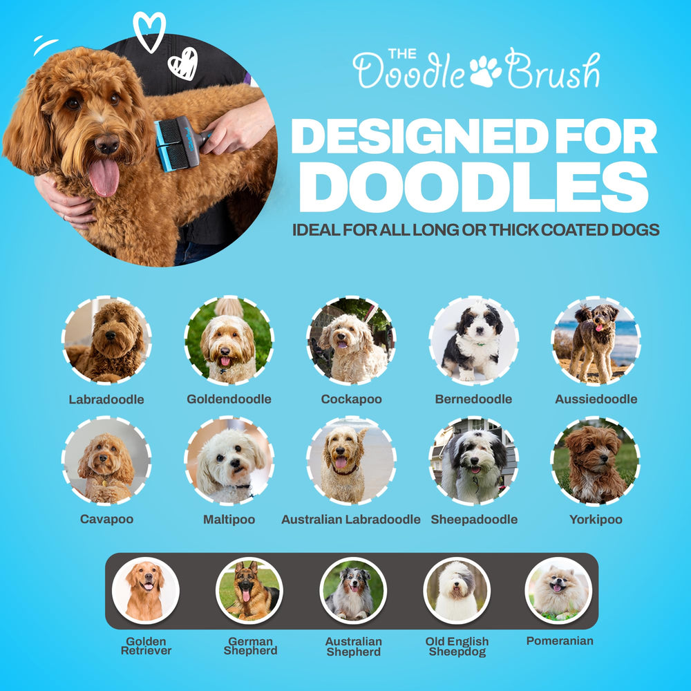 The Doodle Brush holiday gift idea for dog lovers seeking easier grooming
