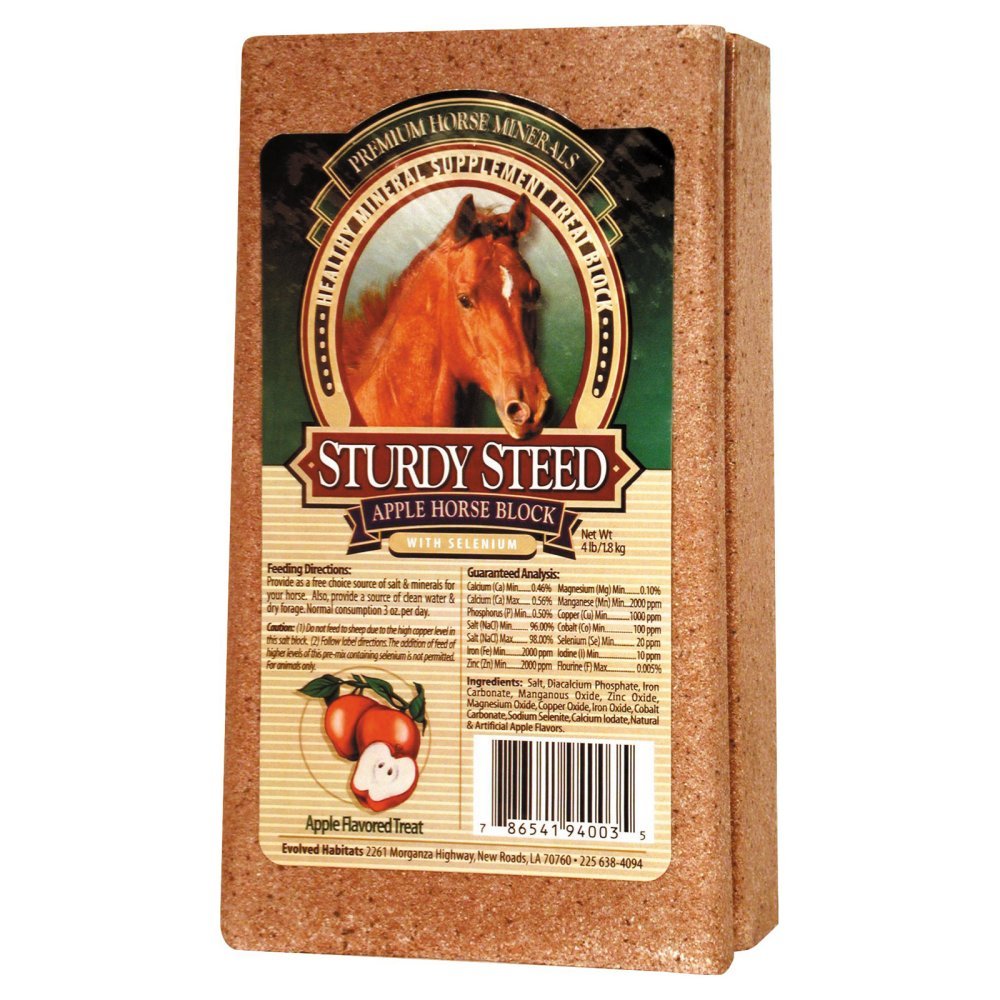 The Evolved Company Sturdy Steed apple mineral block for horses promotes steady mineral intake during rest and work.