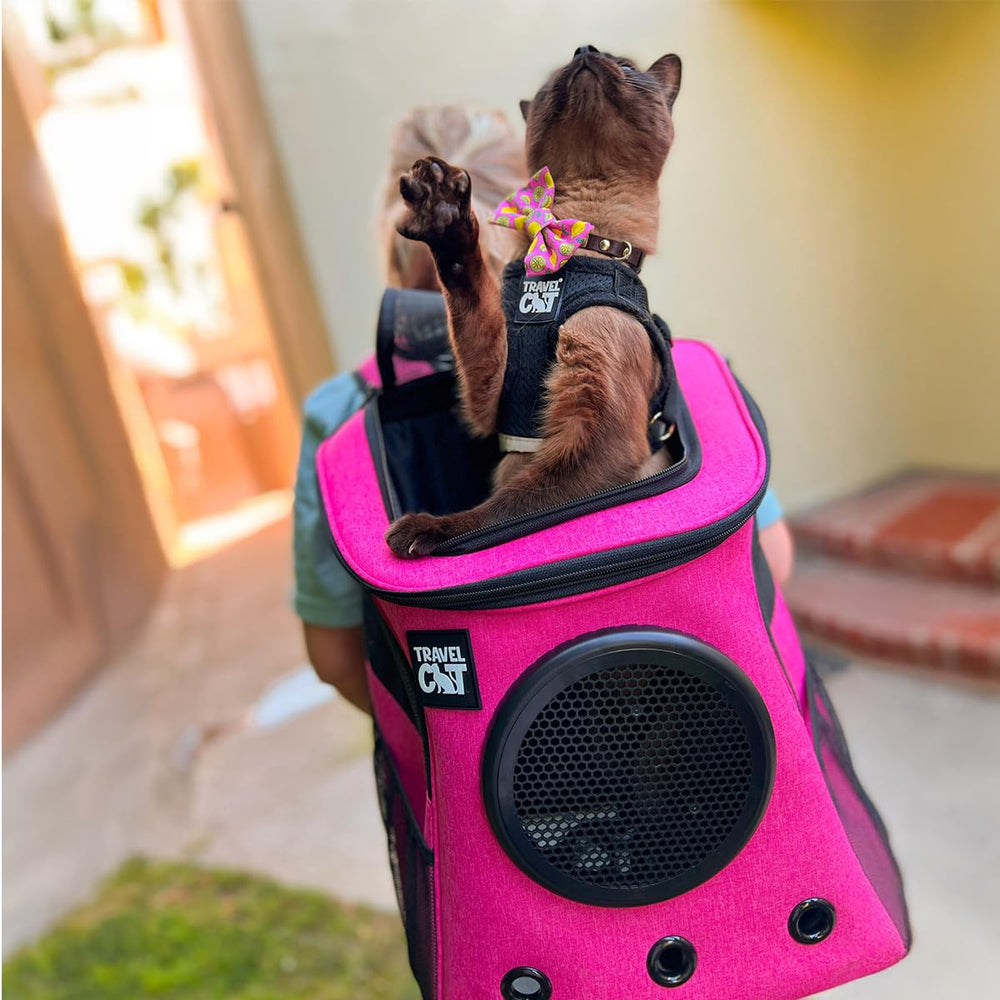 The Fat Cat backpack carrier includes detachable screen for flexible ventilation.
