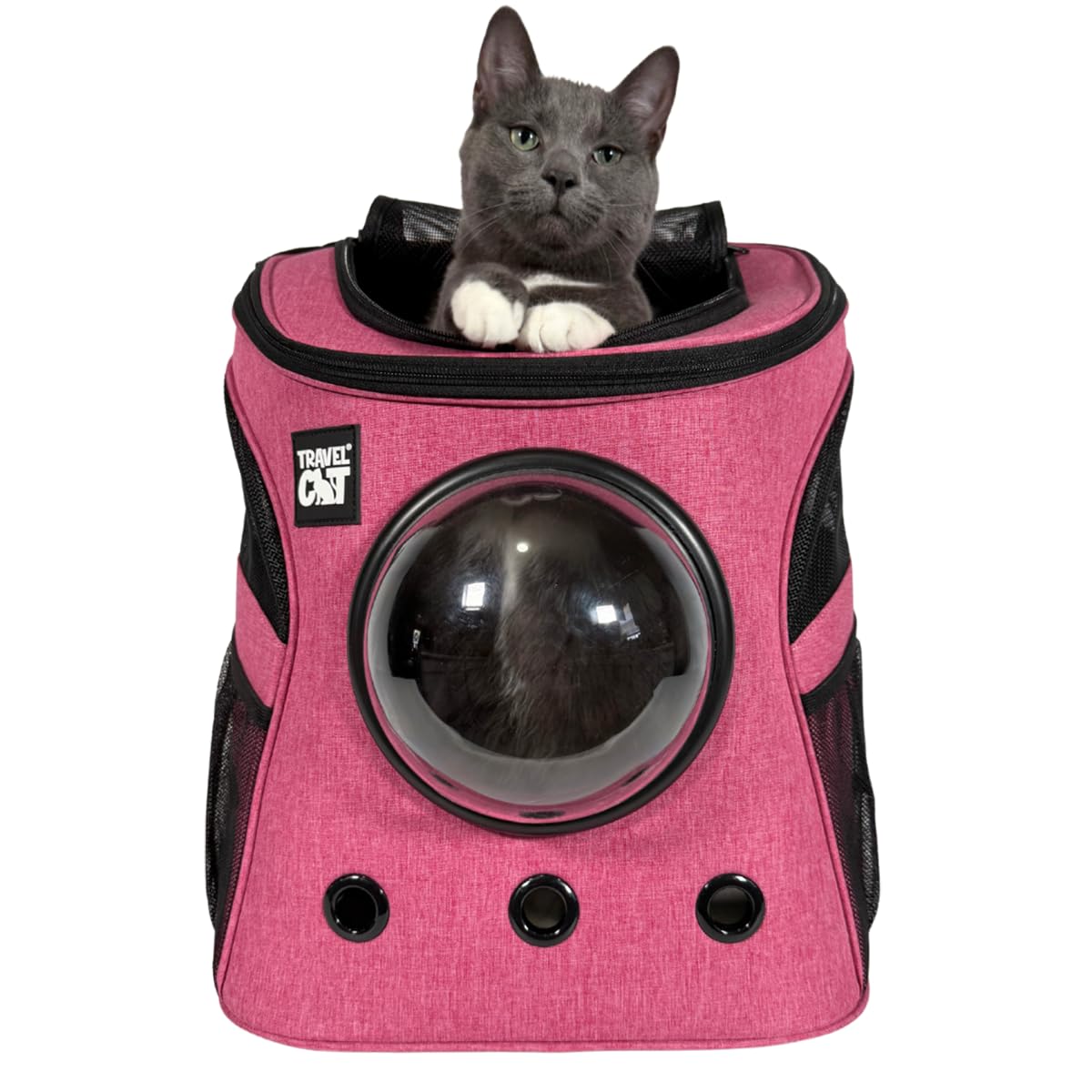 The Fat Cat backpack carrier front view shows spacious, travel-ready design for small cats, on-the-go convenience.