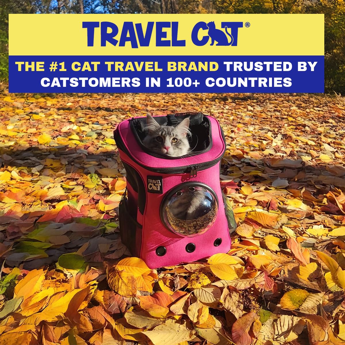 The Fat Cat backpack carrier features side pockets for cat accessories.