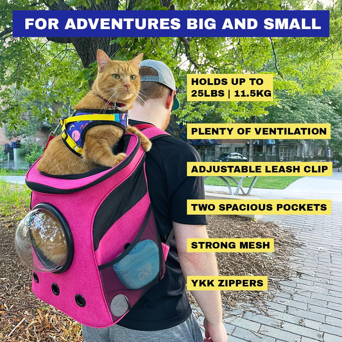 The Fat Cat backpack carrier ventilation mesh provides breathable comfort during travel.