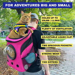 The Fat Cat backpack carrier ventilation mesh provides breathable comfort during travel.