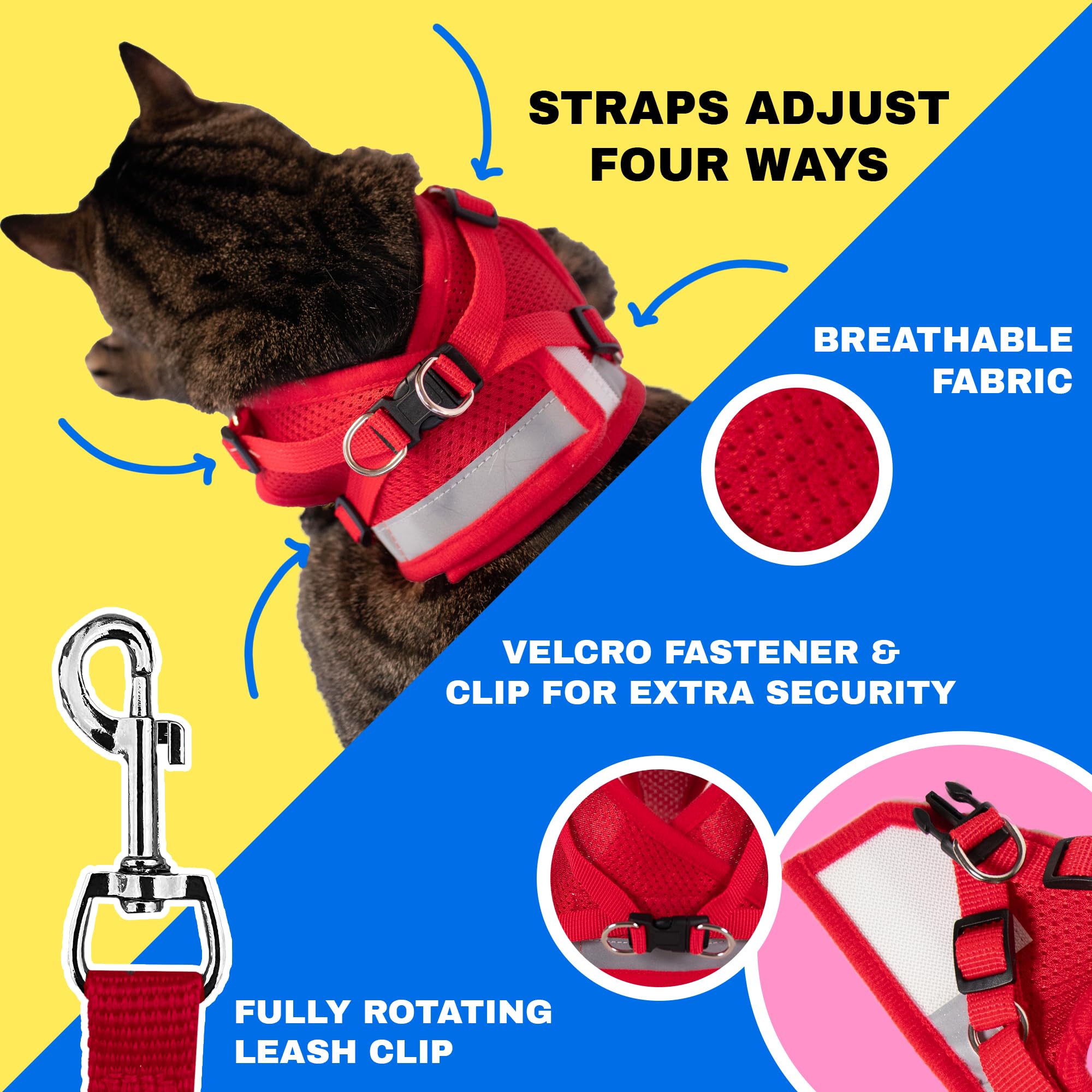 The Fat Cat kitten wearing harness image shows secure fit for playful exploration.