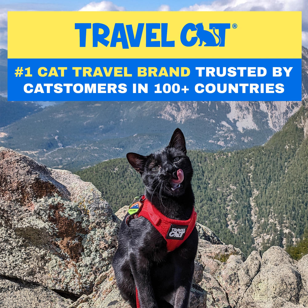 The Fat Cat leash with 360-degree swivel clip ensures flexible movement.
