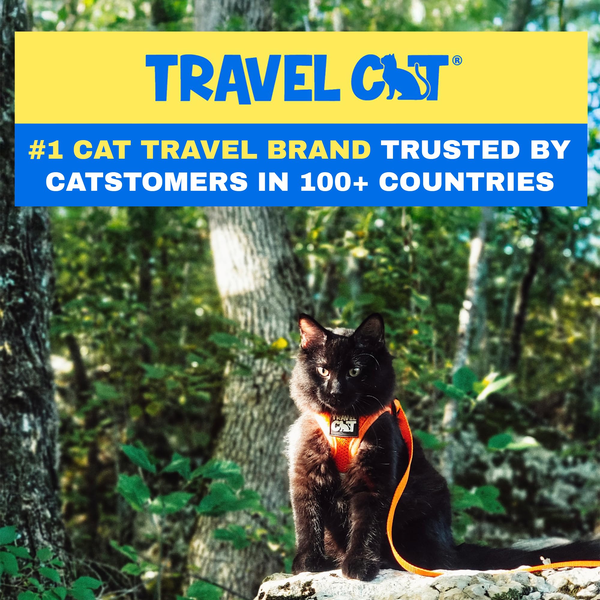 The Fat Cat Travel Cat Harness breathable mesh for year-round comfort.