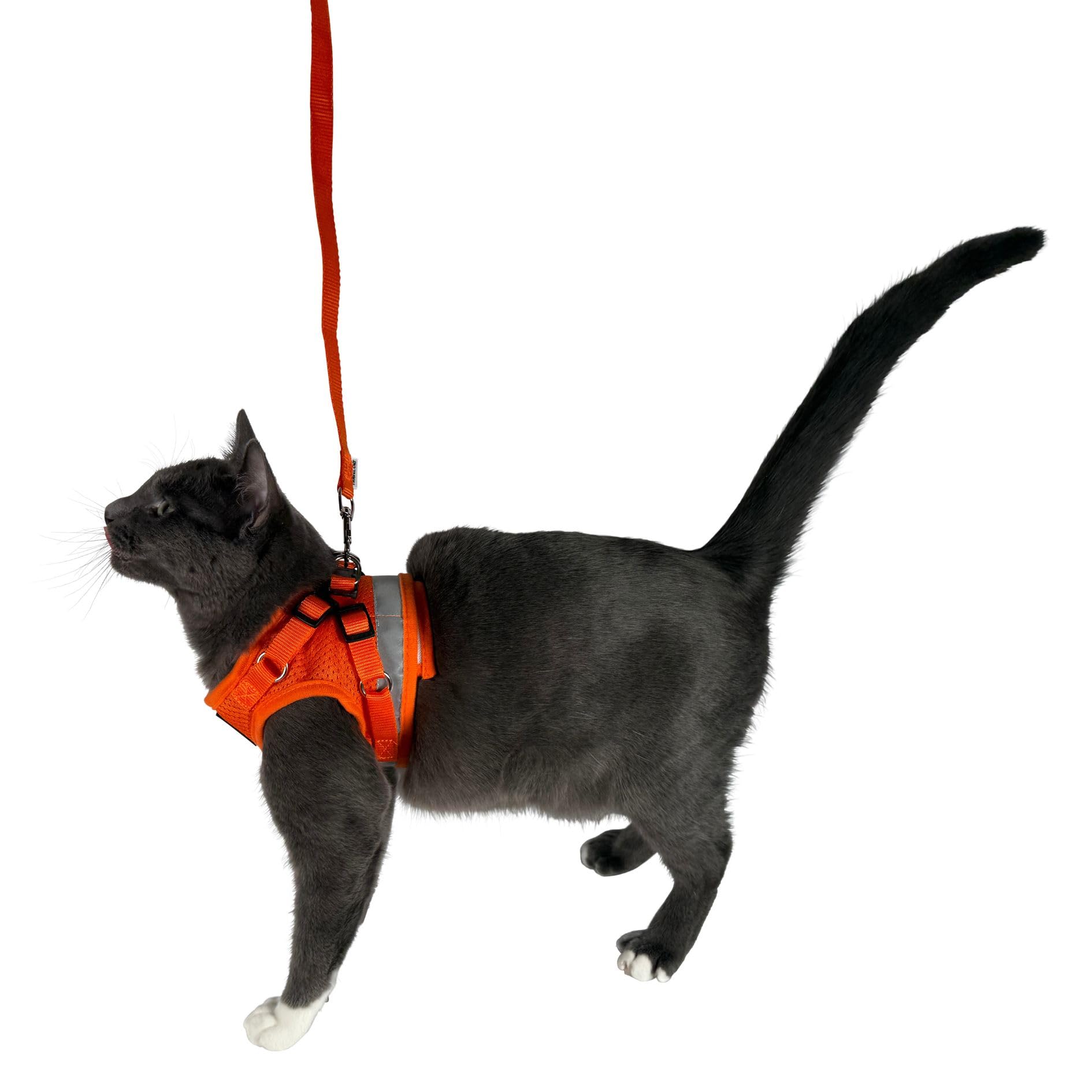 The Fat Cat Travel Cat Harness kitten-fit option supports growth.