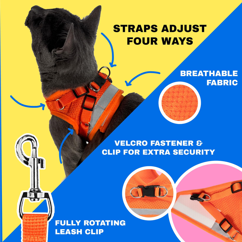The Fat Cat Travel Cat Harness reflective strips visible for safe evening walks.