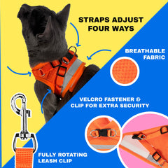 The Fat Cat Travel Cat Harness reflective strips visible for safe evening walks.