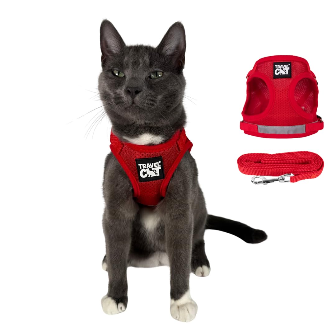 The Fat Cat travel harness vest demonstrates secure outdoor adventures with adjustable fit.