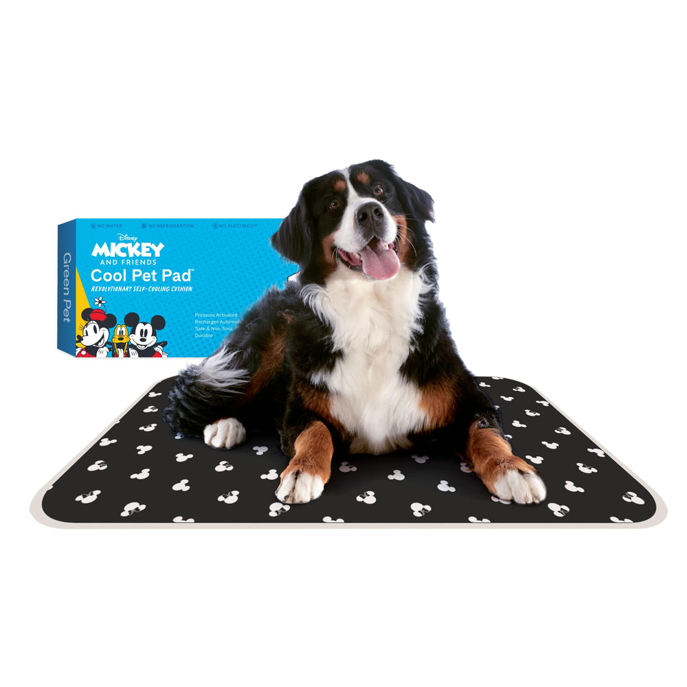 The Green Pet Shop Cool Pet Pad Mickey Minnie design offers cooling relief after walks.