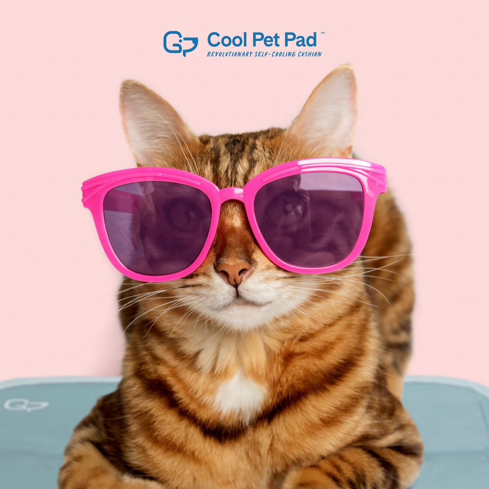 The Green Pet Shop Cool Pet Pad features an anti-slip bottom for stability.