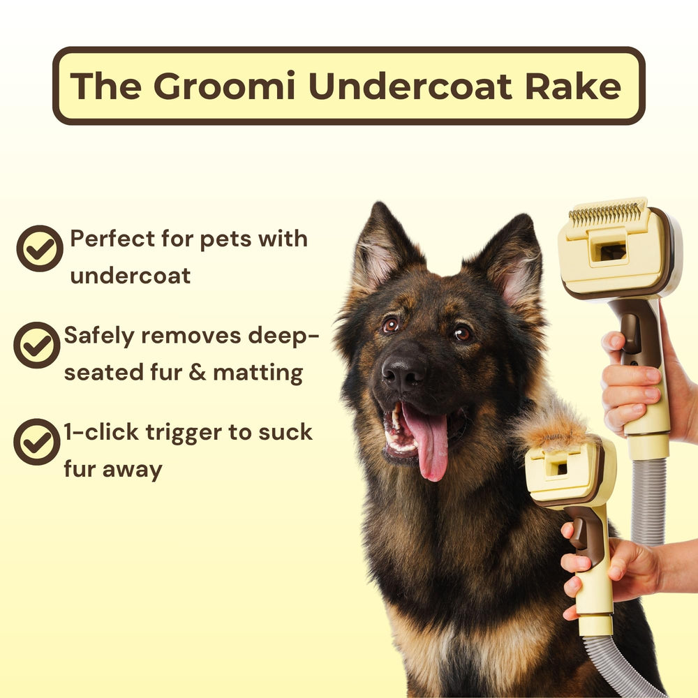 The Groomi deshedder head removes loose fur quickly from shedding coats.