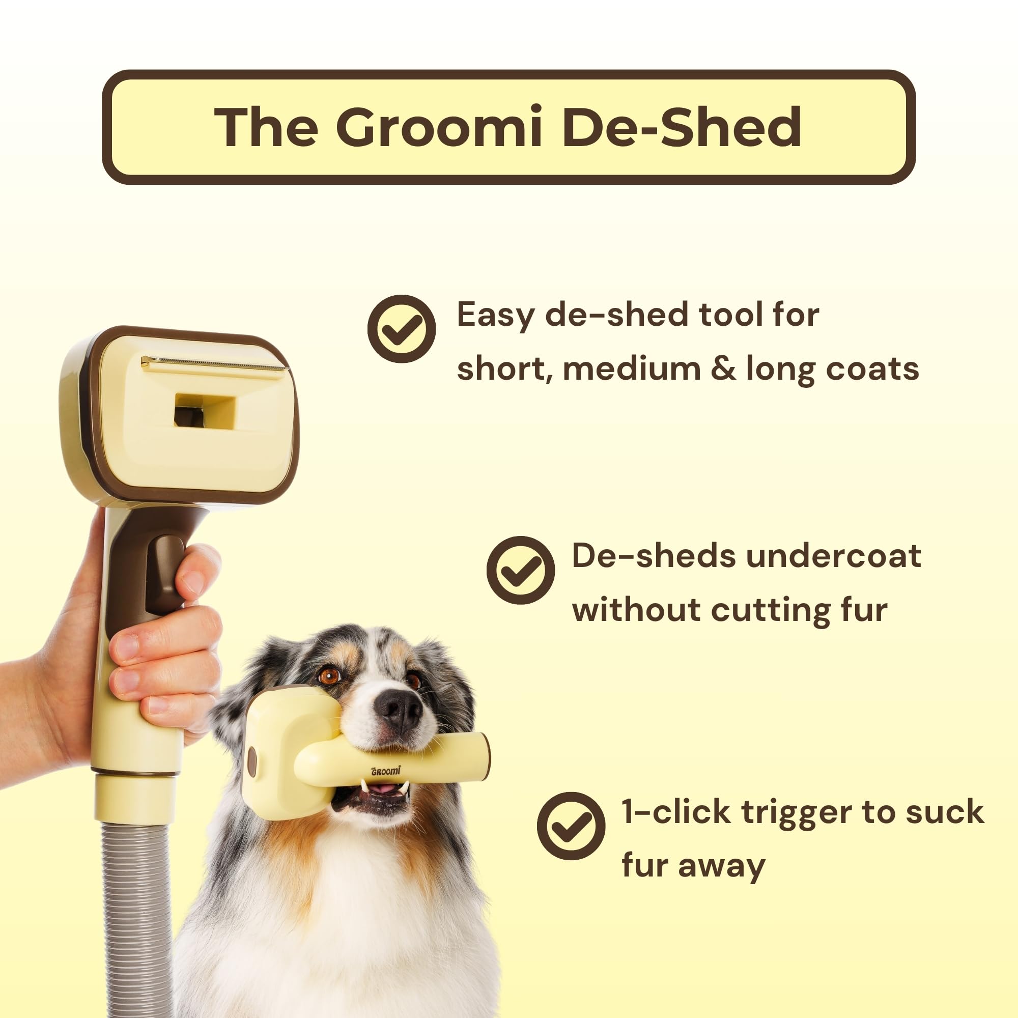 The Groomi slicker head glides through fur to detangle and protect sensitive areas.