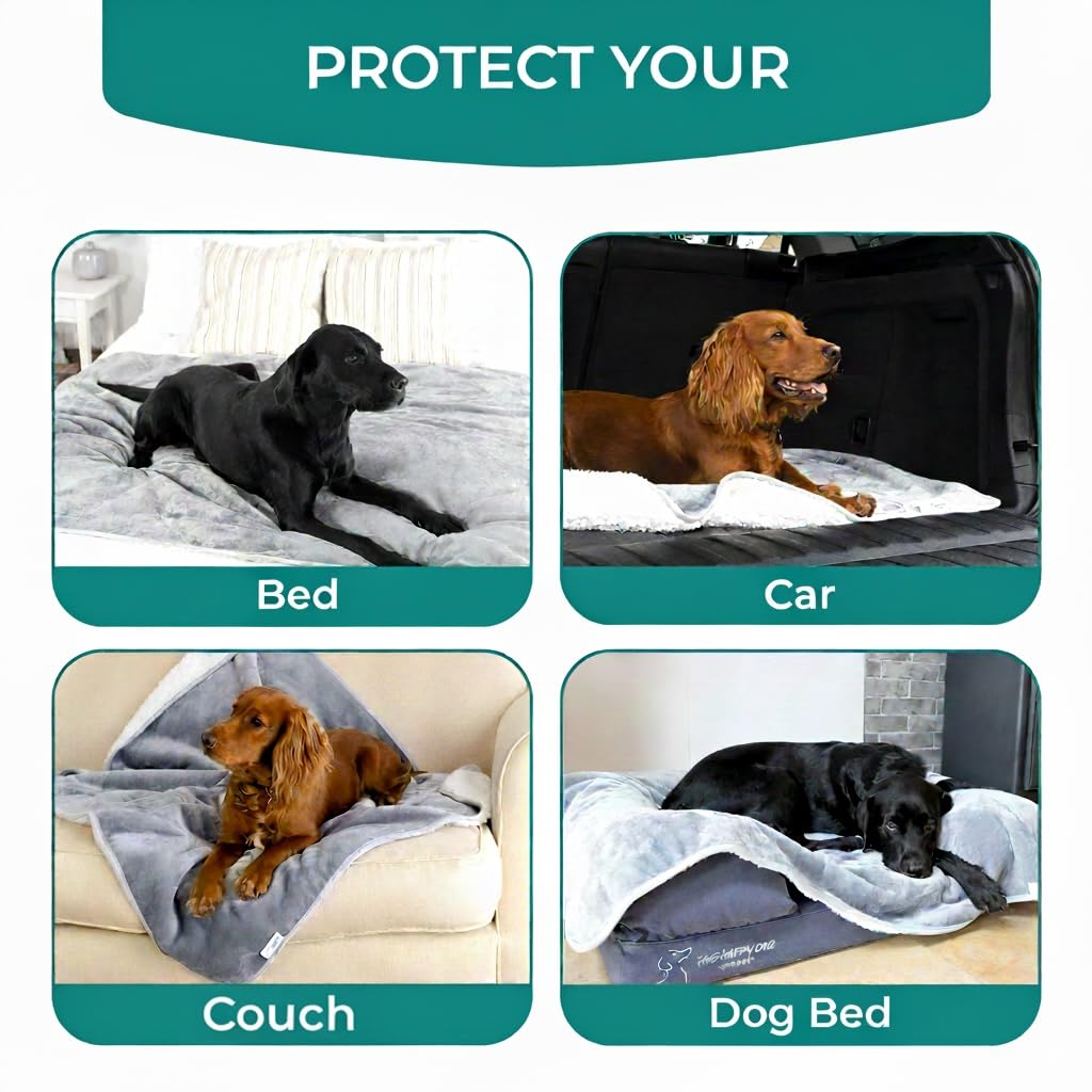 The Happy Dog Company 40x47 blanket sized for large dogs and wide coverage