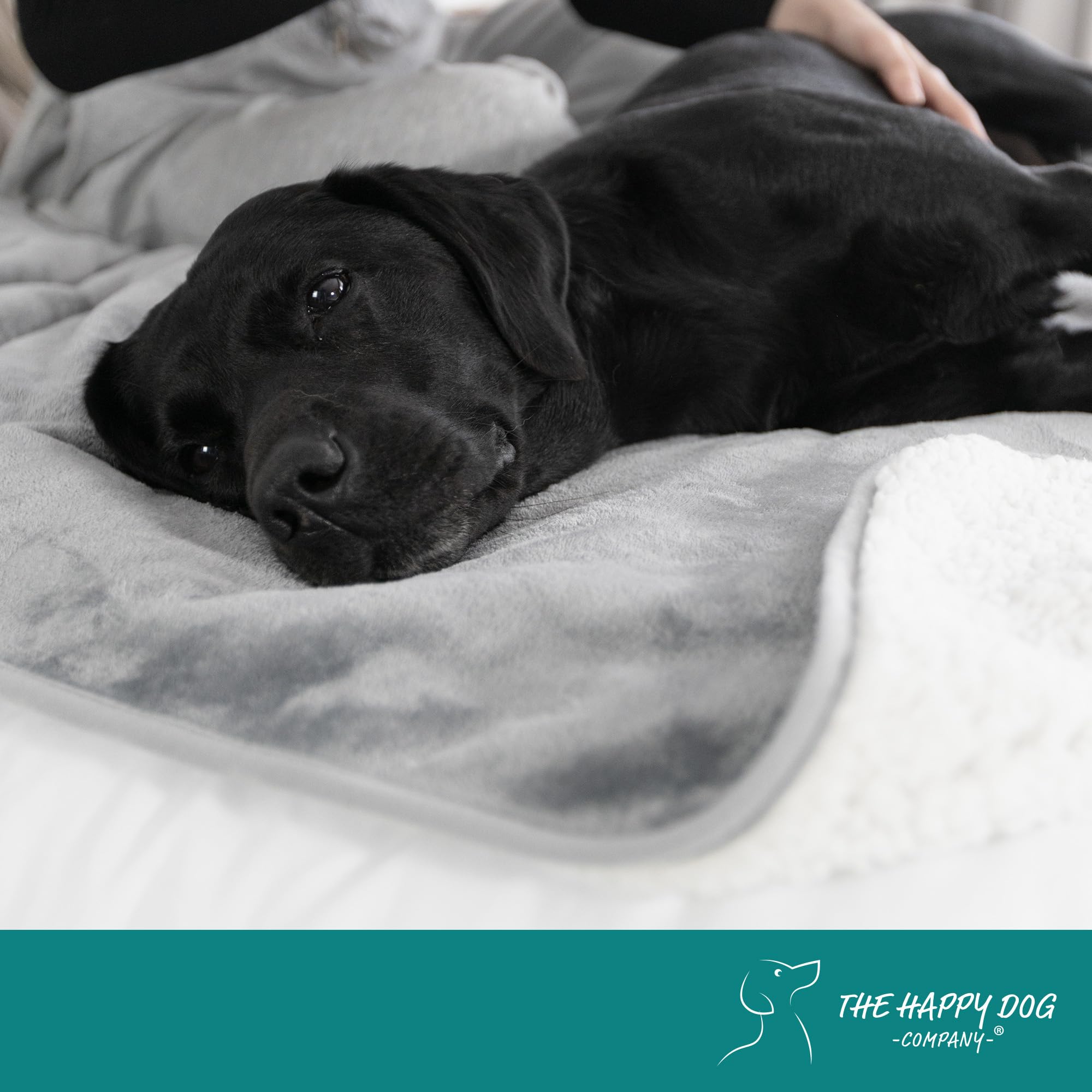 The Happy Dog Company car-seat-use blanket keeps interiors cleaner on trips