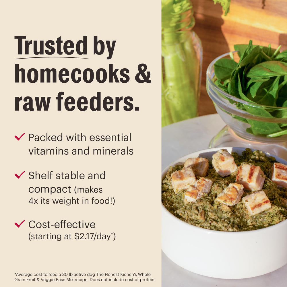Warm-water prep on The Honest Kitchen base mix showcases convenient at-home meals.
