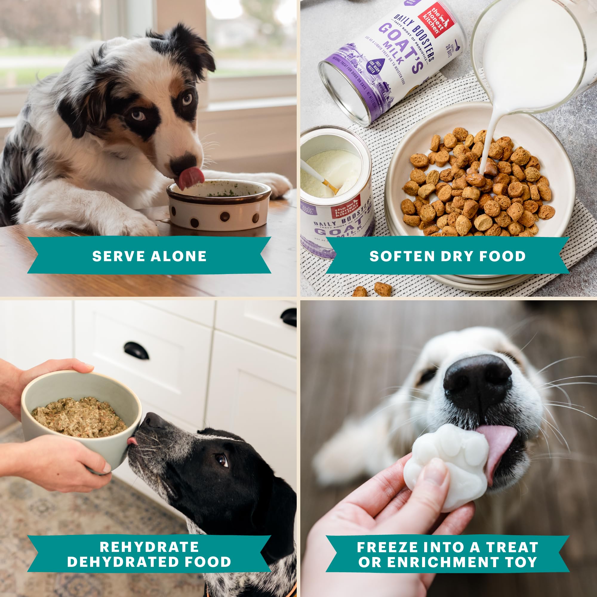 The Honest Kitchen goat-milk-cats-bowl serving offers probiotic-supporting hydration.