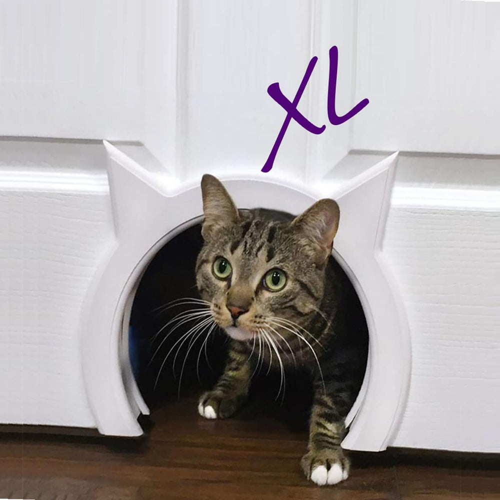 The Kitty Pass XL interior side view shows a clean, semi-gloss white finish.