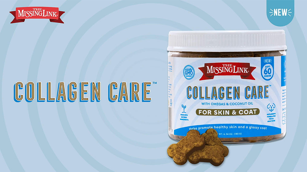 The Missing Link collagen care soft chews fit daily routines.