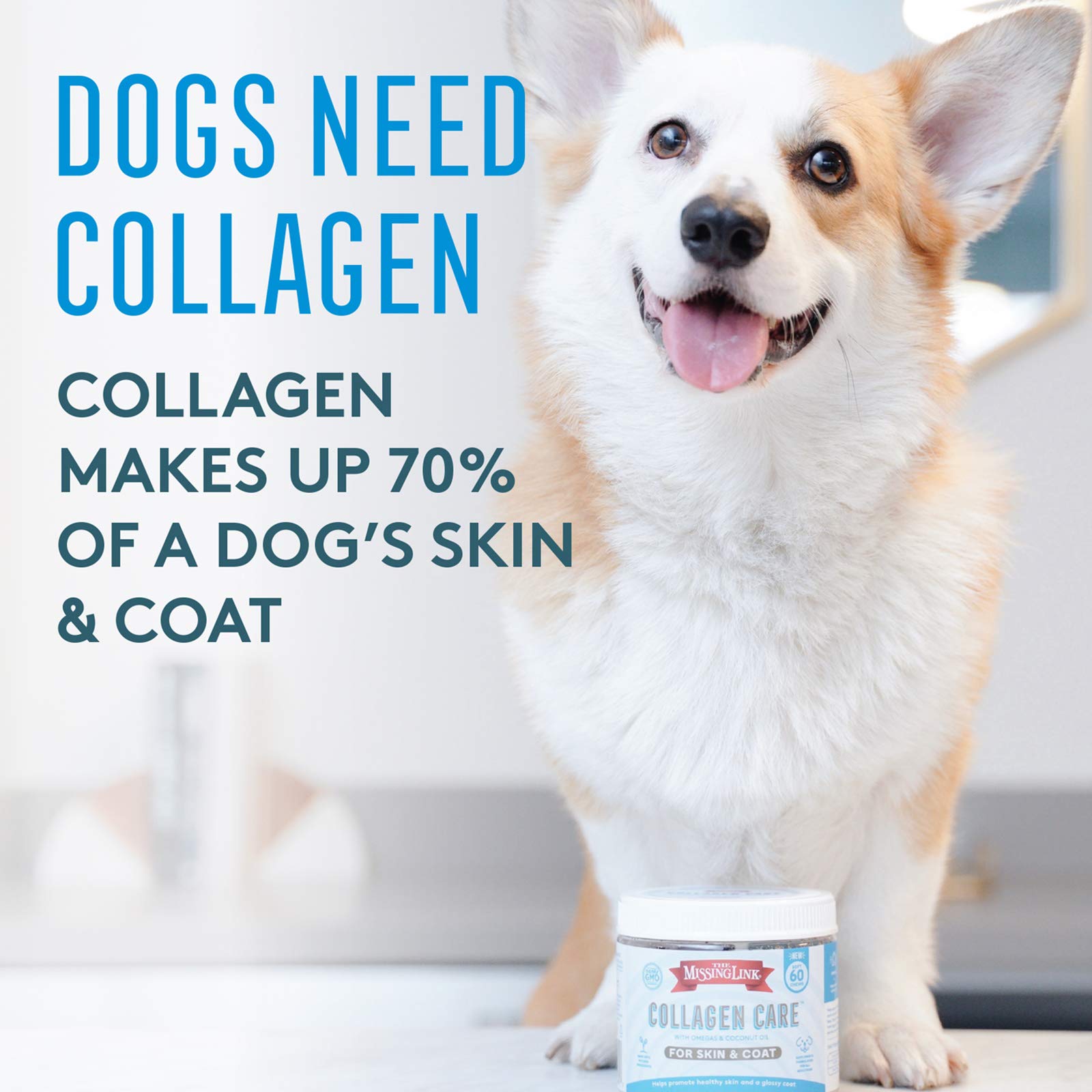 The Missing Link collagen care soft chews support skin moisture for dogs.