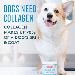 The Missing Link collagen care soft chews support skin moisture for dogs.