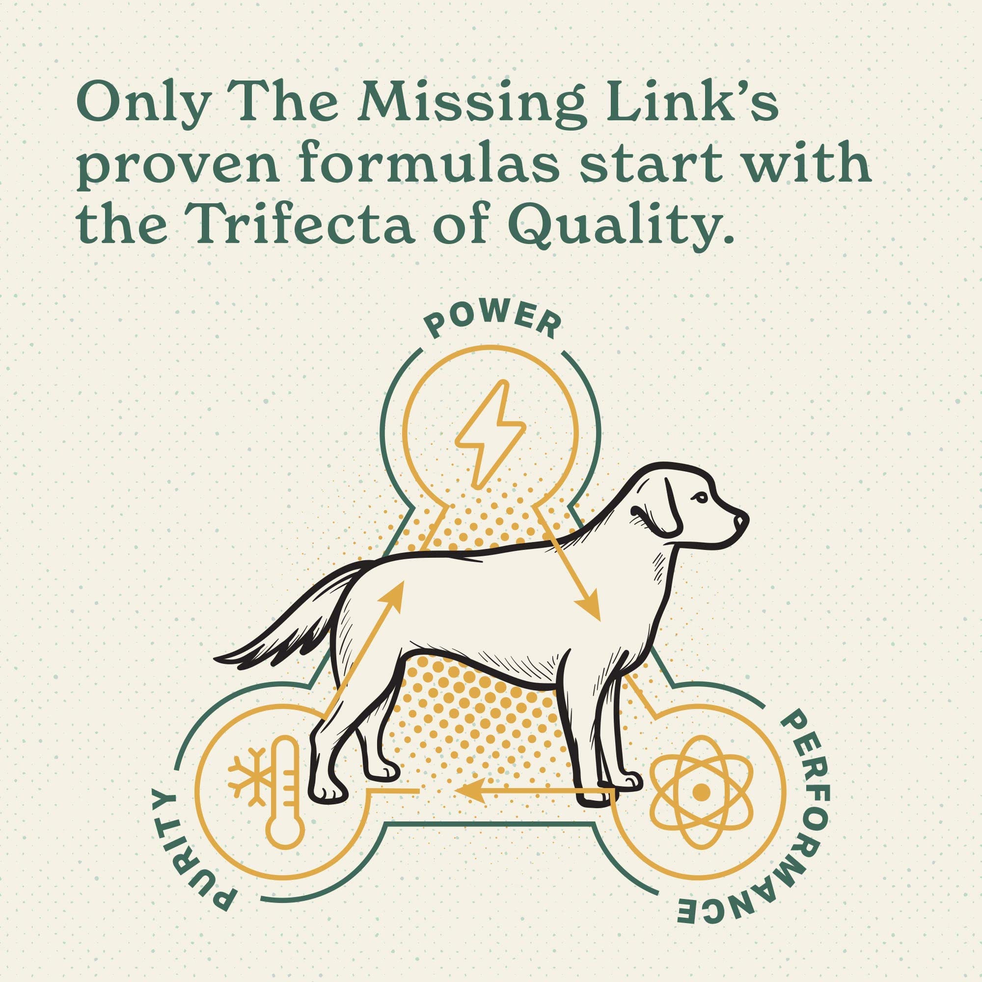The Missing Link hip joint dog-mobility scene illustrates active pets with smoother movement