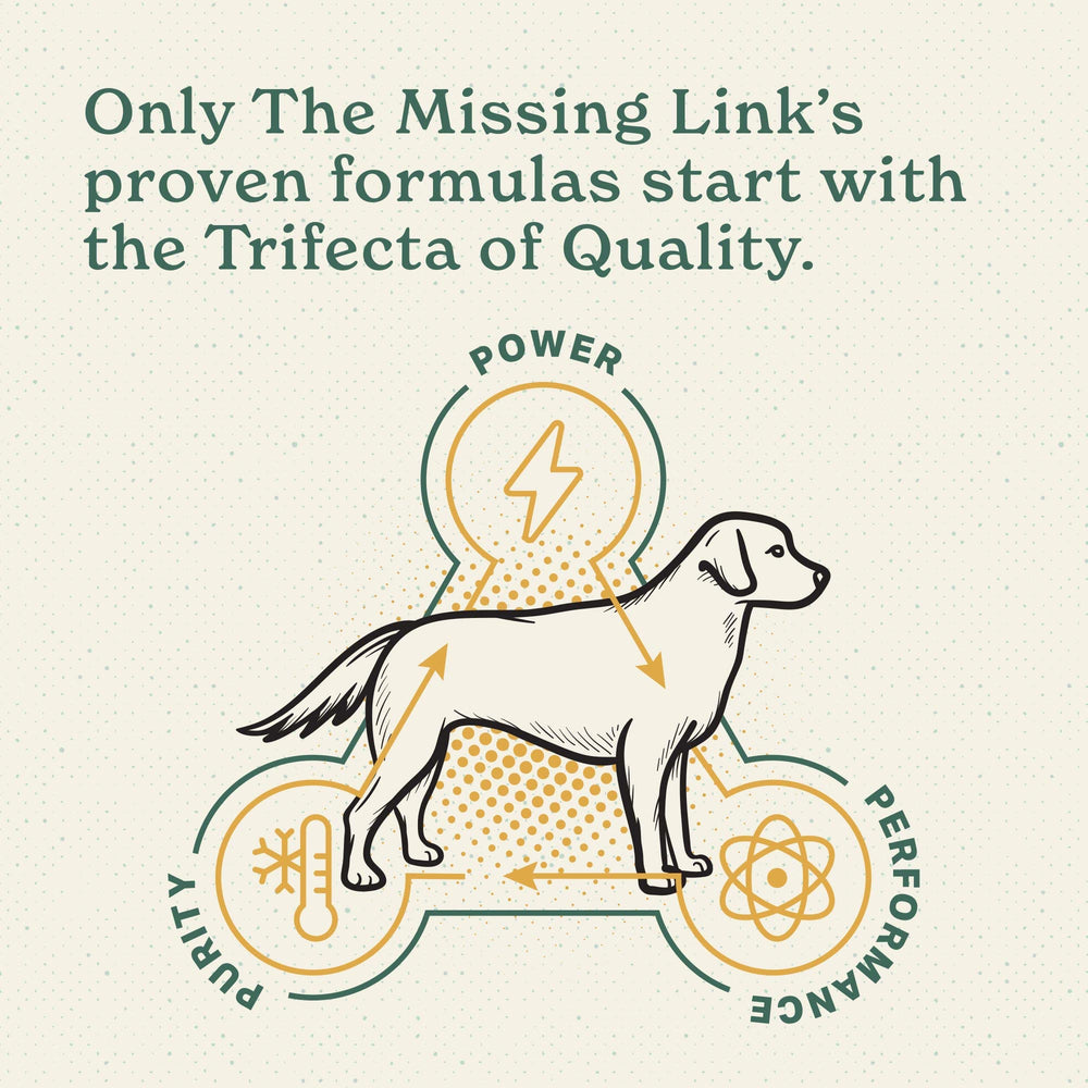 The Missing Link hip joint dog-mobility scene illustrates active pets with smoother movement