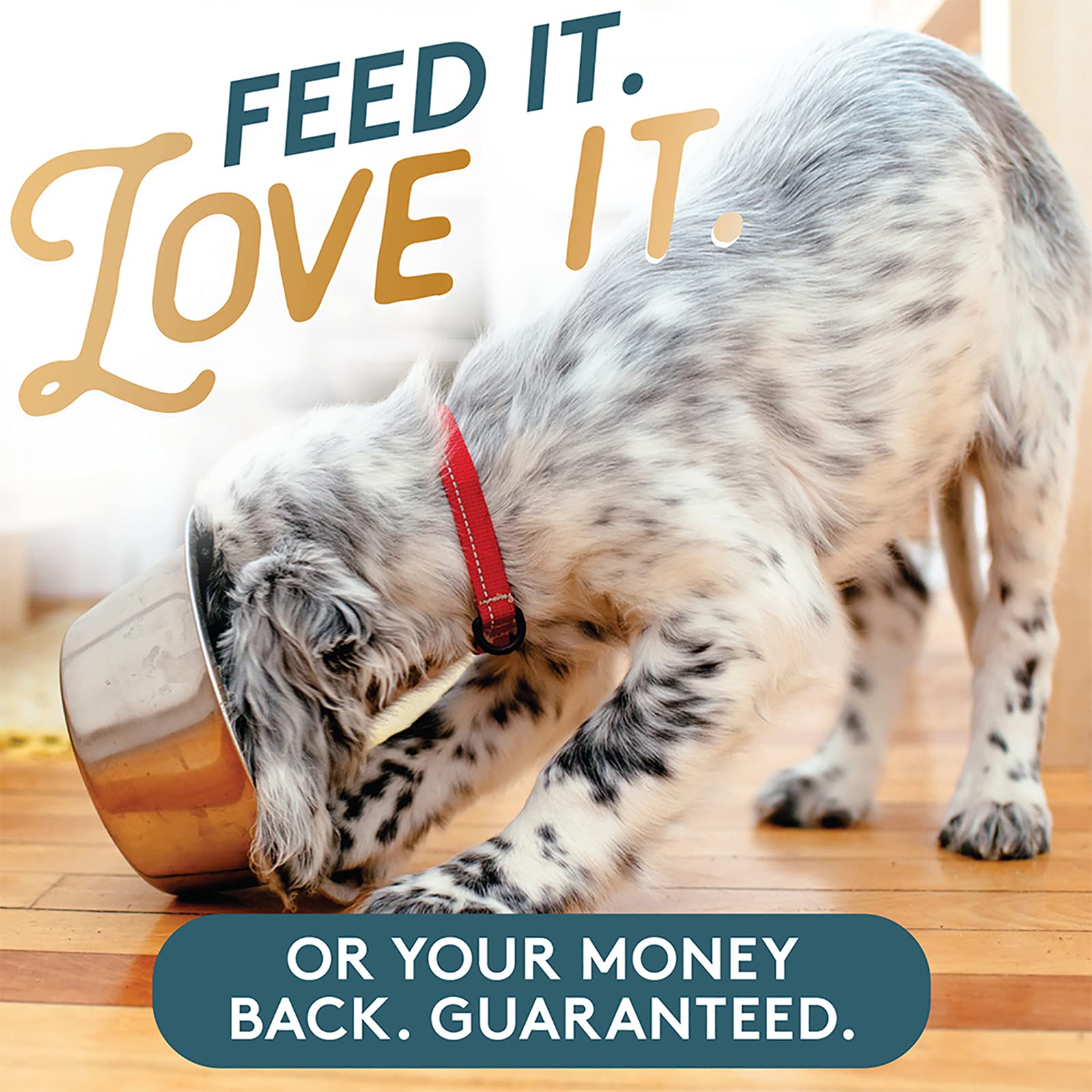 The Missing Link Pet Kelp Canine Probiotic label emphasizes a USA-made, eco friendly formula
