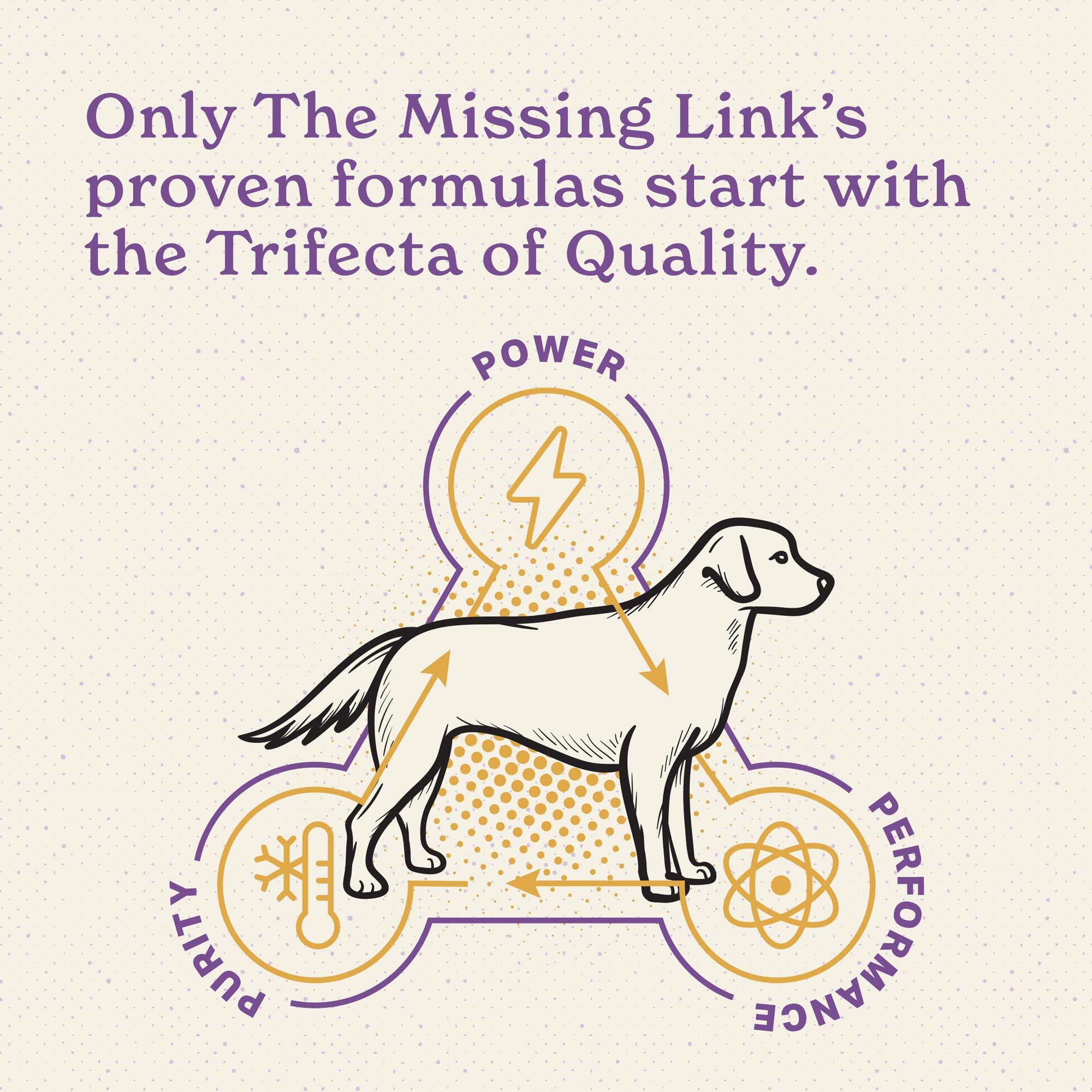 The Missing Link cold-process purity image underscores preserved nutritional value.