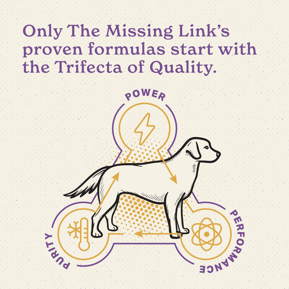 The Missing Link cold-process purity image underscores preserved nutritional value.