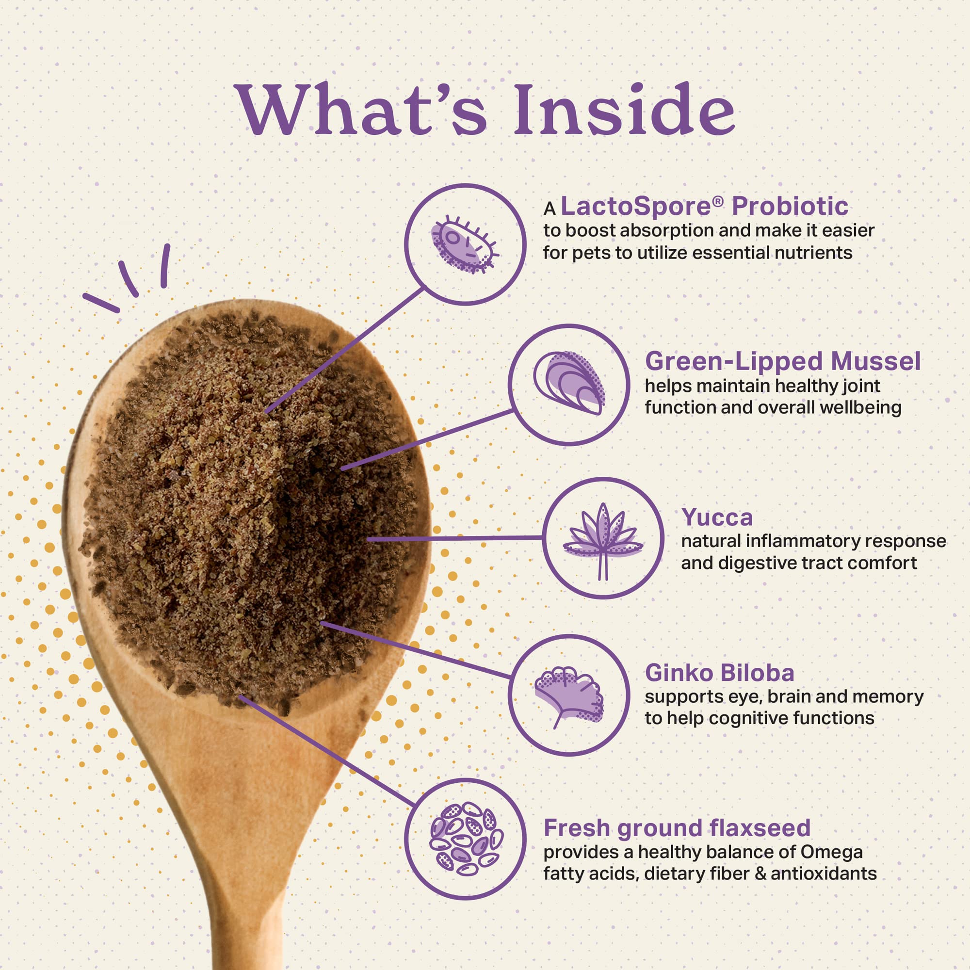 The Missing Link scoop-dip shows measured servings supporting mobility and vitality.