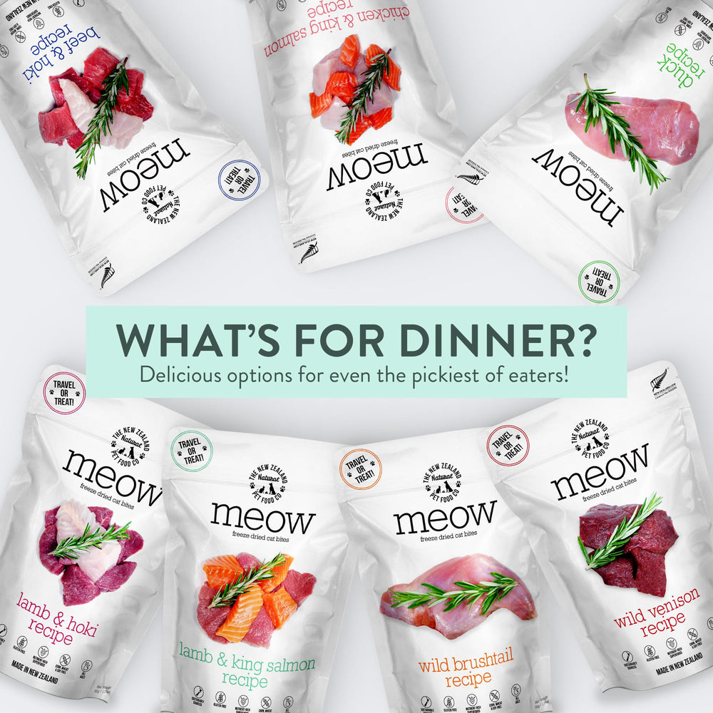 The New Zealand Natural Pet Food Co Meow freeze-dried-digestion-boost suggests gut-friendly nutrition options