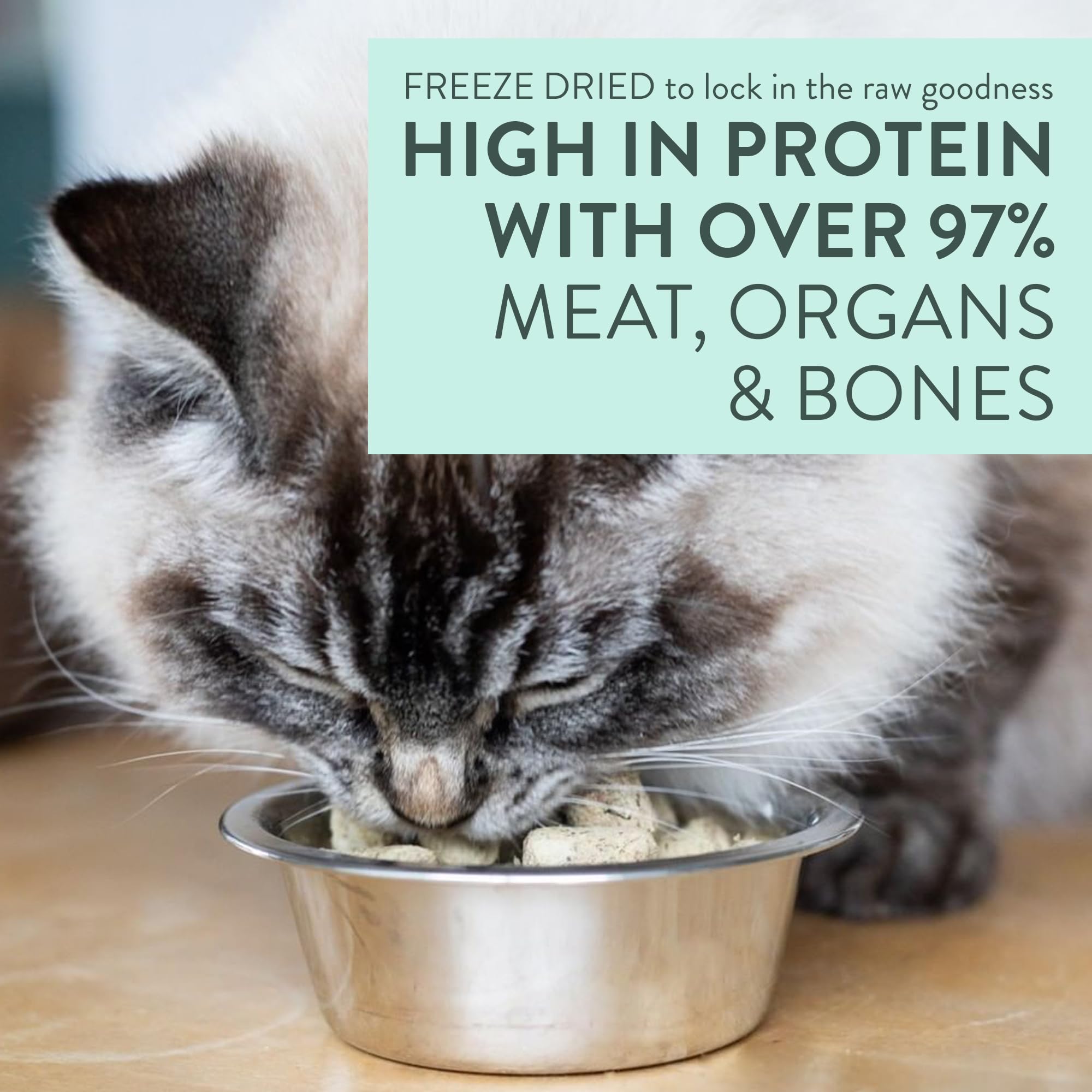 The New Zealand Natural Pet Food Co Meow freeze-dried-topper-dish portrays easy training rewards